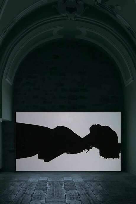    Single channel video installation of a camera slowly panning over the silhouette of a horizontally framed girl.  